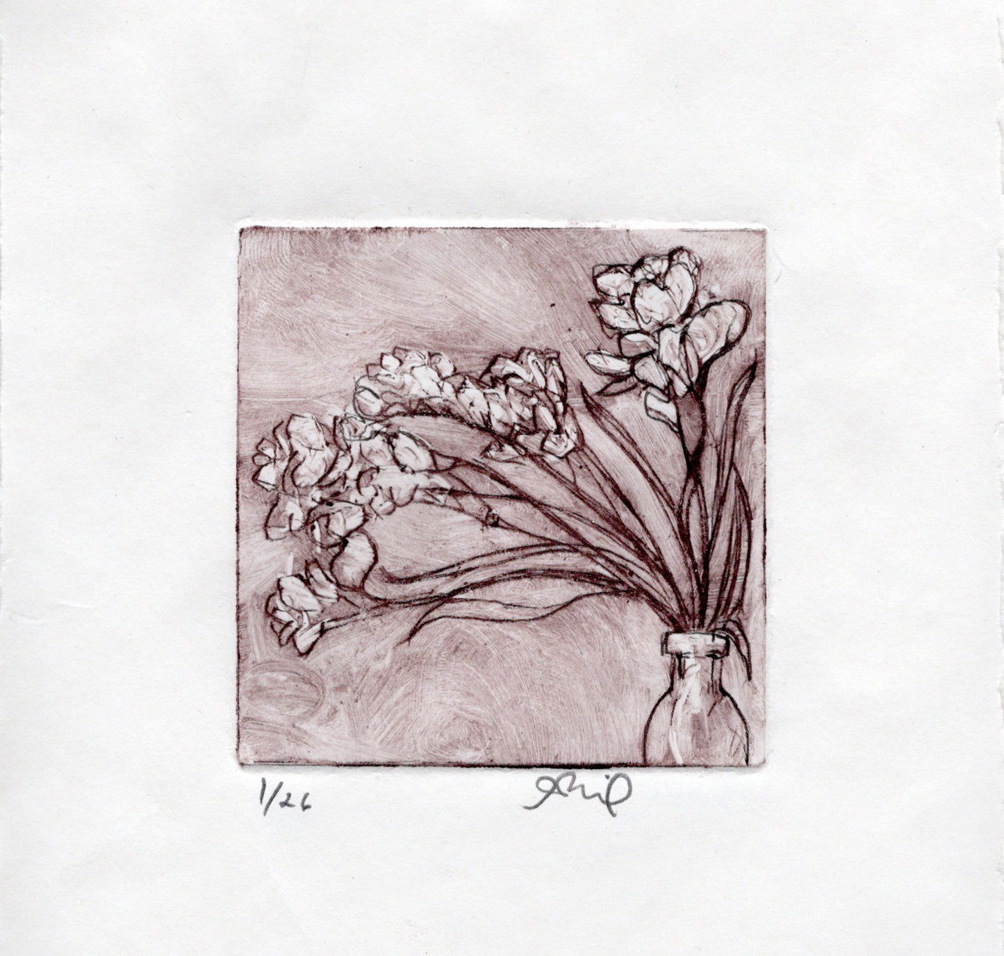 Freesia - print
