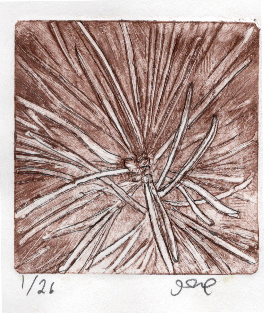 Fireside Fir - print